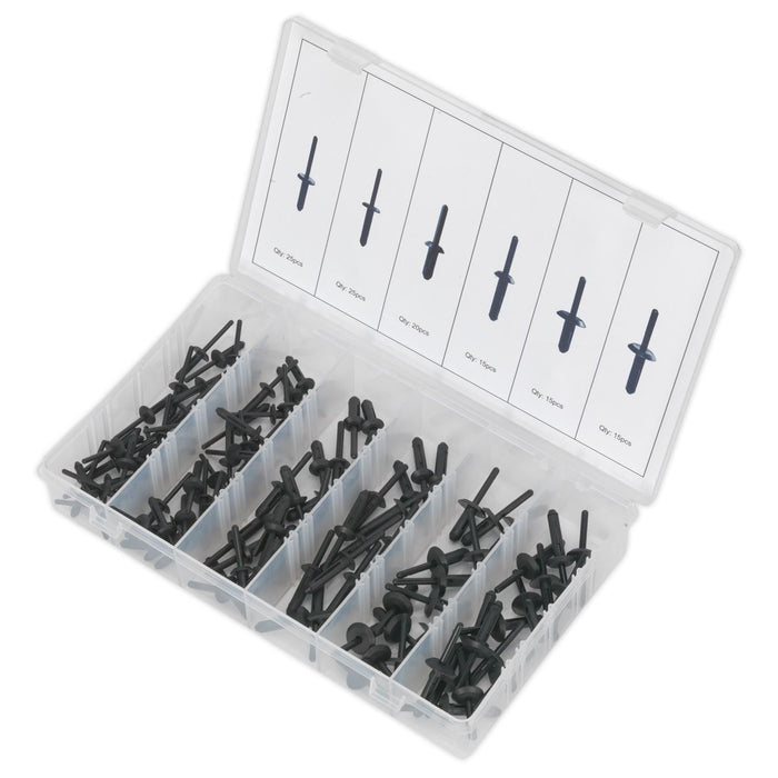 Sealey Rivet Assortment for GM, Ford, Chrysler, VW 115pc BTC19 Sealey - Town Tools 