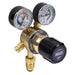 Sealey SGA30 Oxygen Regulator Sealey - Town Tools 