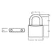 Squire LN5/2.5 Lion Brass Padlock 5-Pin 50mm - 65mm Long Shackle Squire - Town Tools