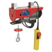 Sealey Power Hoist 230V/1ph 250kg Capacity PH250 Sealey - Town Tools 