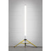 Sealey Slim Standing 360 Floodlight 60W SMD LED 110V LED60110V Sealey - Town Tools 