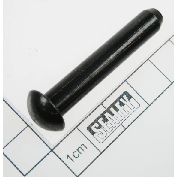 Sealey Rivet