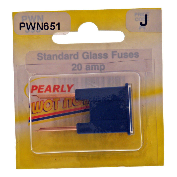 Wot-Nots Fuse - Male Slow Blow - Blue - 100A Pearl Automotive - Town Tools 