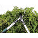Faithfull Countryman Telescopic Hedge Shear 12in Blade Faithfull - Town Tools