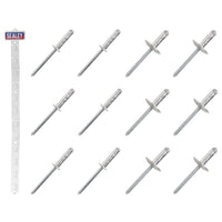 Sealey Clip Strip Deal - Aluminium Rivets RVSET