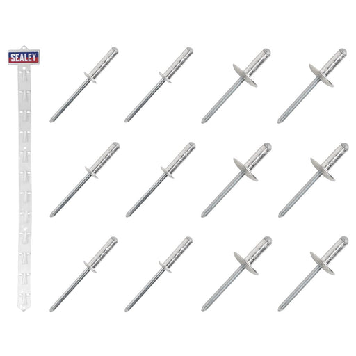 Sealey Clip Strip Deal - Aluminium Rivets RVSET Sealey - Town Tools 