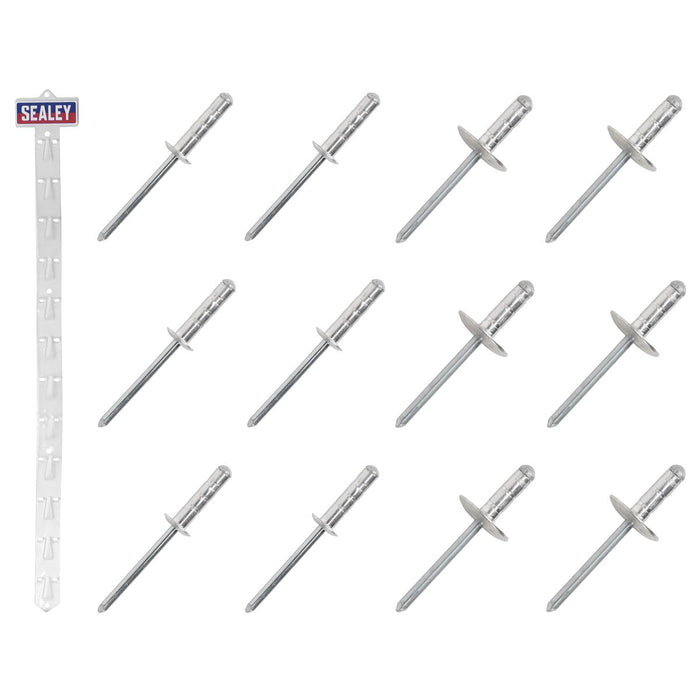 Sealey Clip Strip Deal - Aluminium Rivets RVSET Sealey - Town Tools 