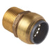 Sealey SharkBiteï Straight Adaptor 22mm x 3/4"BSPT Brass SBA22BSA Sealey - Town Tools 