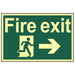 Scan Fire Exit Running Man Arrow Right - Photoluminescent 300 x 200mm Scan - Town Tools