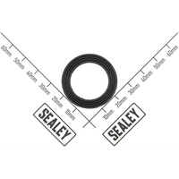 Sealey Fuel Filter Seal Ring AB-1802013
