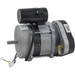 Sealey Motor Assembly