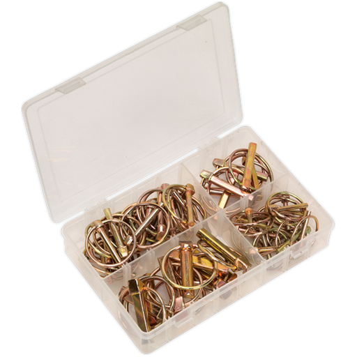 Sealey Linch Pin Assortment 50pc Metric AB022LP Sealey - Town Tools 