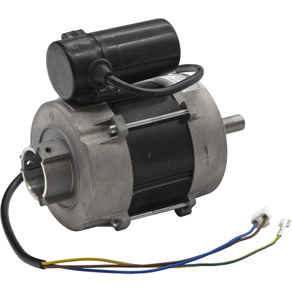 Sealey Motor