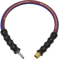 Sealey Air Leader Hose 600mm x10mm with Tailpiece & 1/4"BSP Union AH2R/38
