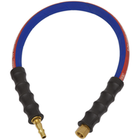 Sealey Air Leader Hose 600mm x8mm with Tailpiece & 1/4"BSP Union AH2R