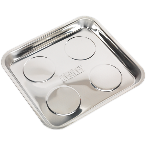 Sealey Magnetic Collector with 4 Magnets 290 x 275mm AK2314 Sealey - Town Tools 