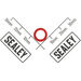 Sealey O-Ring (Red)
