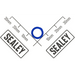 Sealey O-Ring (Blue)