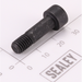 Sealey Arbor Screw
