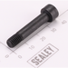 Sealey Arbor Screw