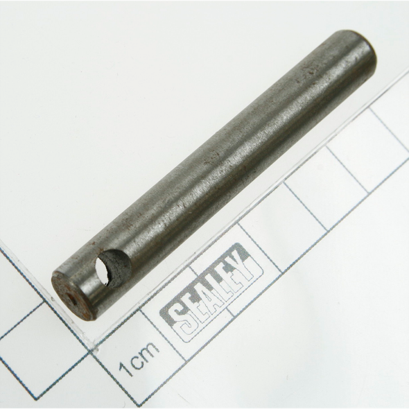 Sealey Air plunger