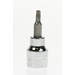 Sealey Socket bit 3/8"dr (t20)