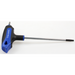 Sealey T-handle trx-star key t15