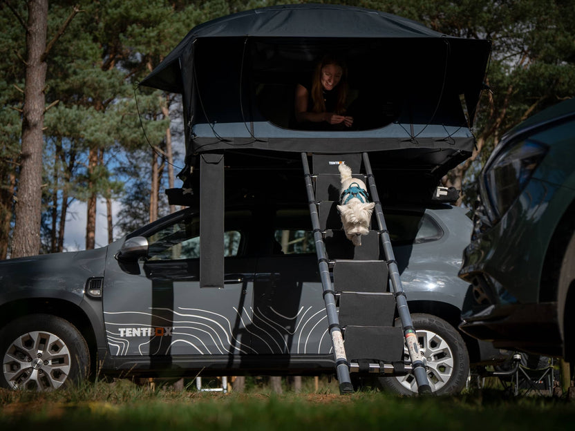 Tentbox LadderSteps TENTBOX - Town Tools