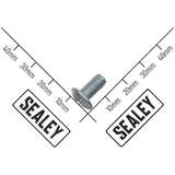 Sealey Self-Tapping Screw ST4.8*30 APMRB1-09