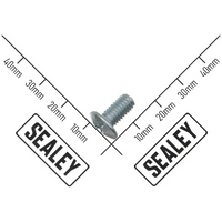 Sealey Self-Tapping Screw ST4.8*30 APMRB1-09