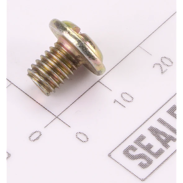Sealey Screw