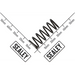 Sealey Spline Shaft Spring