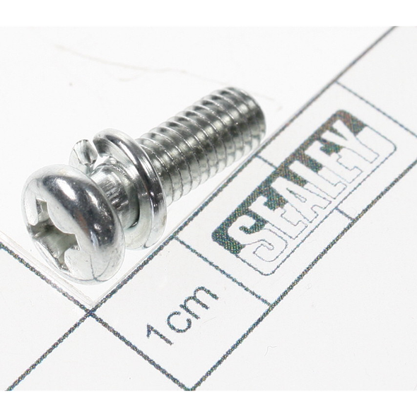 Sealey Phillips screw (c/w spring washer) m6x20