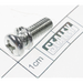 Sealey Phillips screw (c/w spring washer) m6x20