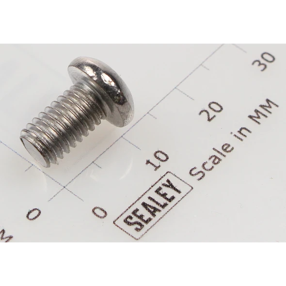 Sealey Button head socket screw m6x10 zinc