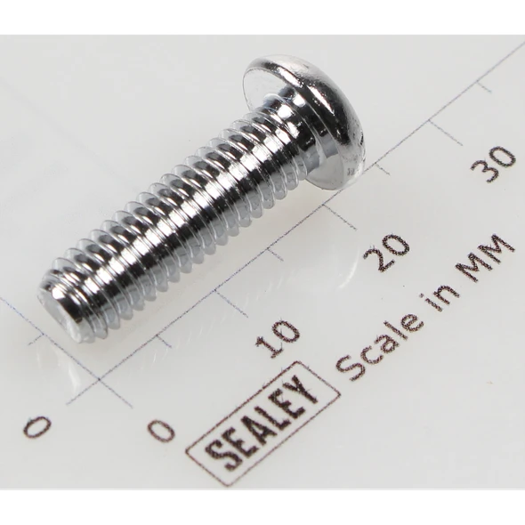 Sealey Button head socket screw m6x20 zinc