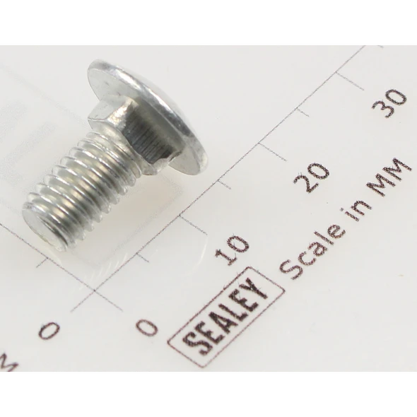 Sealey Coach bolt m6x12mm (single)