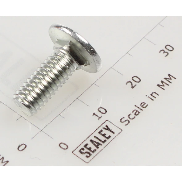 Sealey Coach bolt m6x15mm (single)