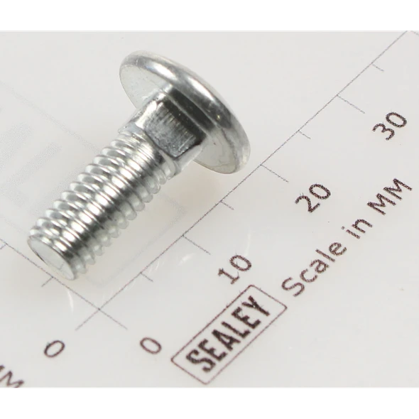 Sealey Coach bolt m6x16mm (single)