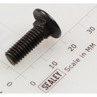 Sealey Coach bolt m6x18mm black CBN618.SB