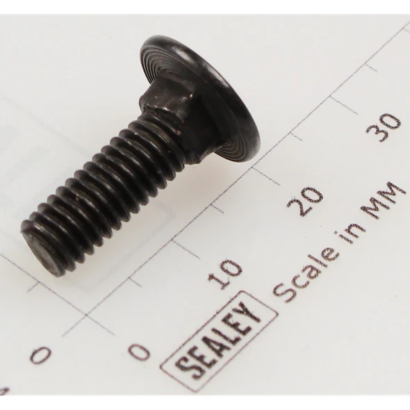 Sealey Coach bolt m6x18mm black