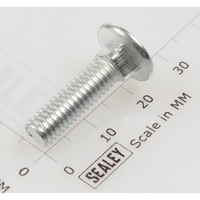 Sealey Coach bolt m6x22mm (single) CBN622.S