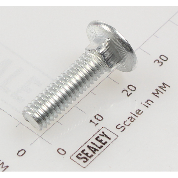 Sealey Coach bolt m6x22mm (single)