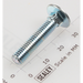 Sealey Coach bolt m6x30mm (single)