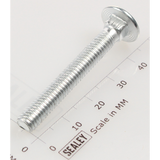 Sealey Coach bolt m6x45mm (single) CBN645.S
