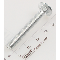 Sealey Coach bolt m6x45mm (single) CBN645.S