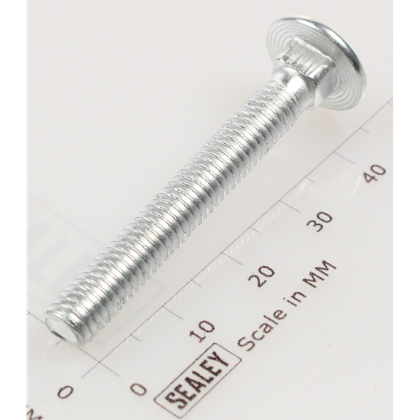 Sealey Coach bolt m6x45mm (single)