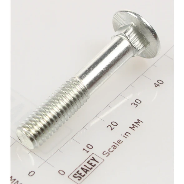 Sealey Coach bolt m8x45mm (single)