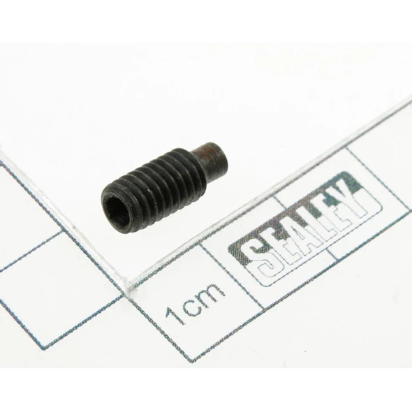 Sealey Grub screw