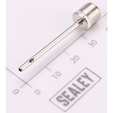 Sealey Ball Needle CP20VAP.25